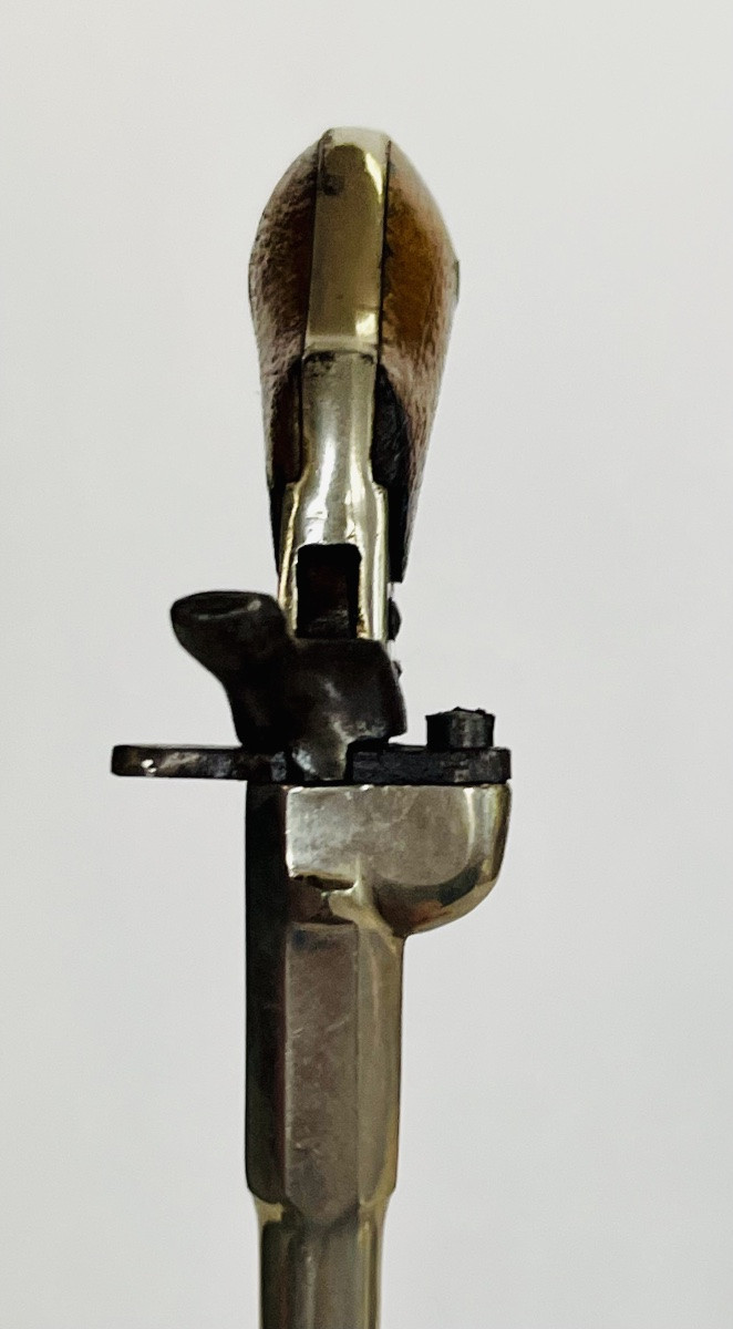 Pistolet cycliste -photo-2